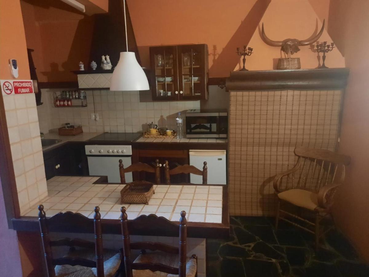 Loft Green Διαμέρισμα Σαν Κριστόμπαλ ντε Λα Λαγούνα Εξωτερικό φωτογραφία