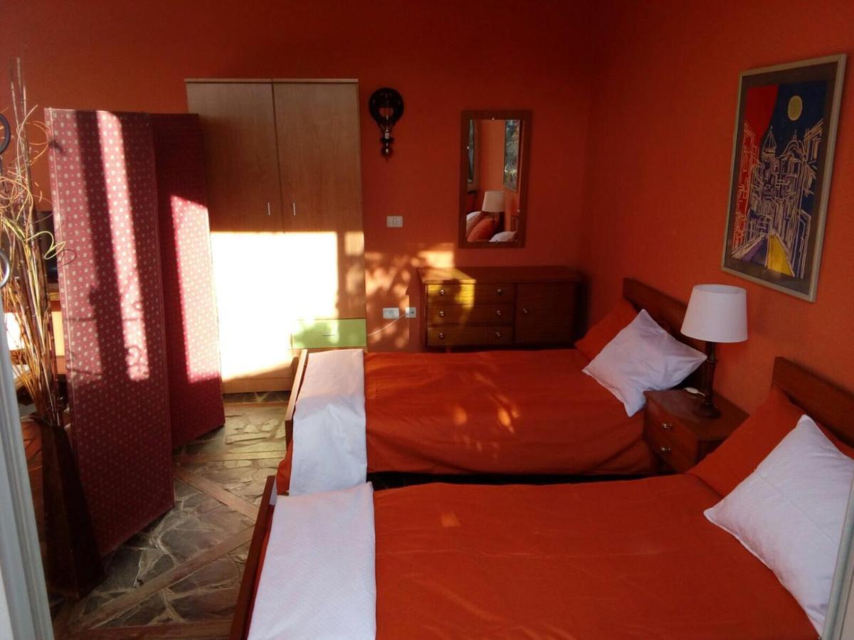 Loft Green Διαμέρισμα Σαν Κριστόμπαλ ντε Λα Λαγούνα Εξωτερικό φωτογραφία