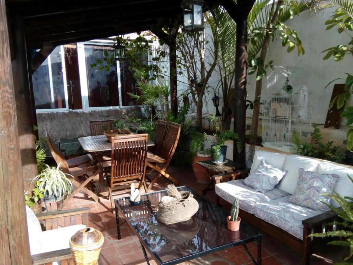 Loft Green Διαμέρισμα Σαν Κριστόμπαλ ντε Λα Λαγούνα Εξωτερικό φωτογραφία