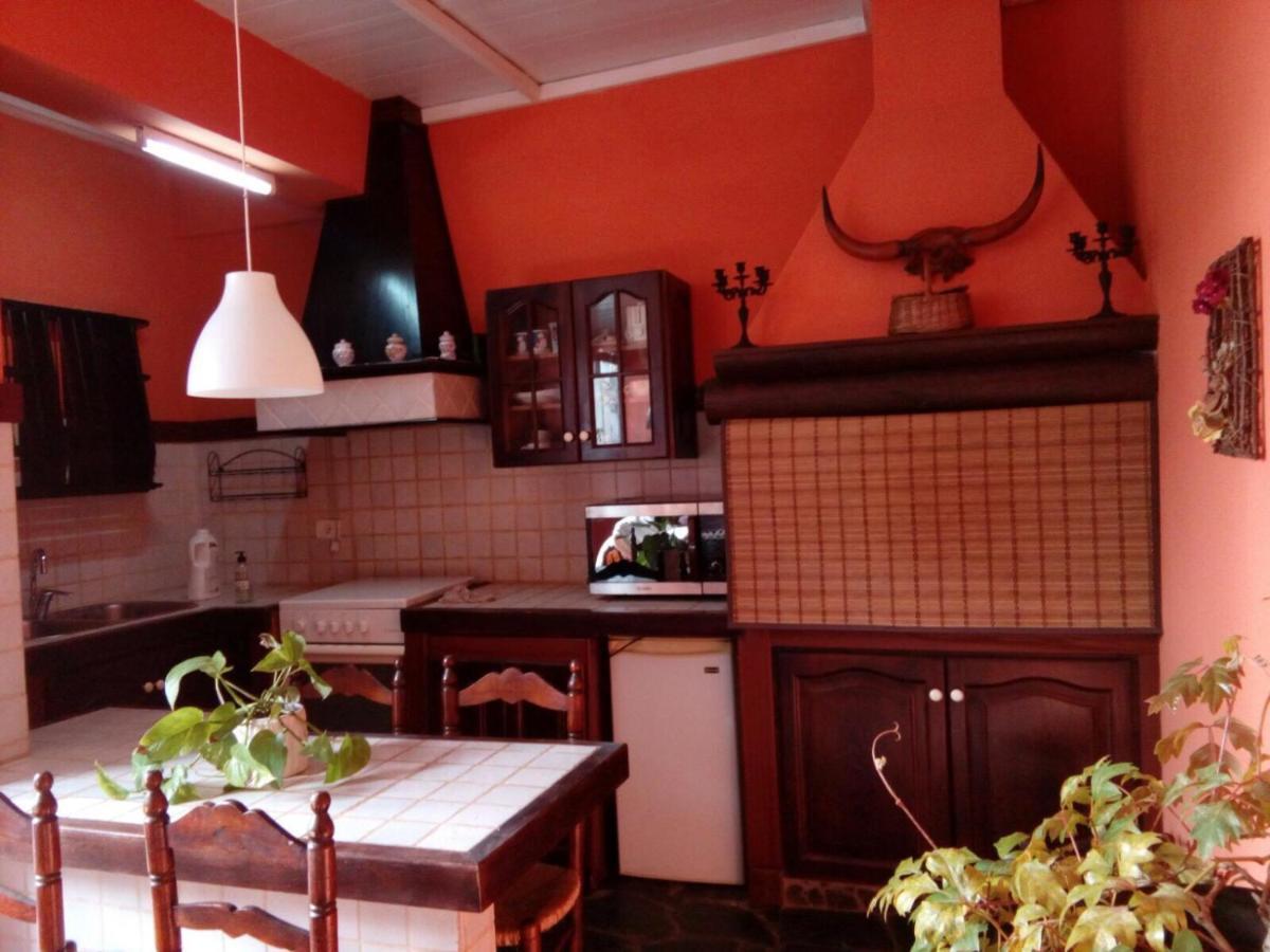Loft Green Διαμέρισμα Σαν Κριστόμπαλ ντε Λα Λαγούνα Εξωτερικό φωτογραφία